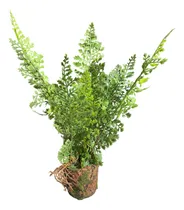 Comprar Kokedama  Planta Artificial Con Hojas Verdes Decoracion 