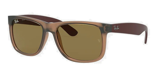 Anteojos Sol Ray Ban Justin Small Rb4165-51 Originales