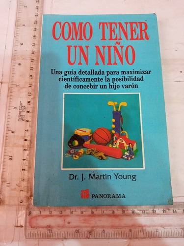 Como Tener Un Niño Martín Young Panorama