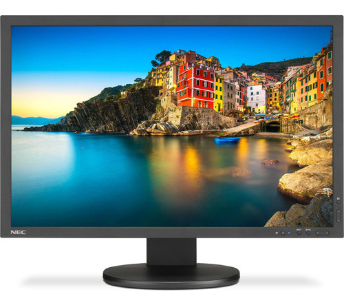 Nec P243w-bk Professional Srgb Gamut 24  16:10 Ips Monitor