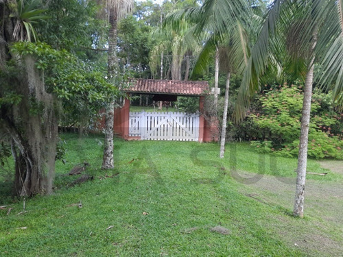Imagem 13 de 30 de Sítio À Venda Em Juquitiba; - 288 - 69390789