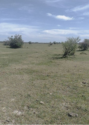 Imagen 7 de 10 de Se Vende Campo De 65 Hectareas En Rosario Del Tala, Entre Rios