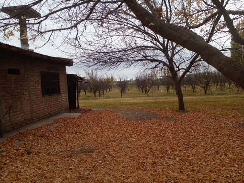 Finca En Venta En C. Benegas, San Rafael - Ideal Para Vivir O Emprender ¿buscás Un Lugar Para Disfrutar De La Tranquilidad Y La Naturaleza?