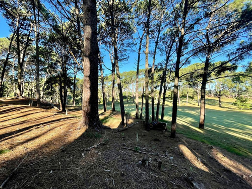 Terreno En Venta Sobre La Cancha Del Golf En  Club Del Lago- Punta Ballena