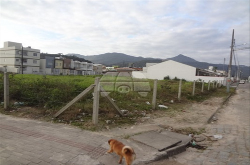 Imagem 2 de 7 de Terreno - Comercial/residencial - 60659