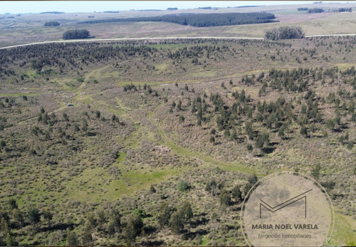 Alquiler Campo Zapican