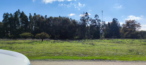 Parcela En Sector San Luis De Unihue (9317)