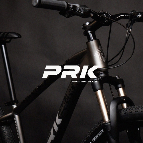 Mountain Bike Earthquake R29 21v
