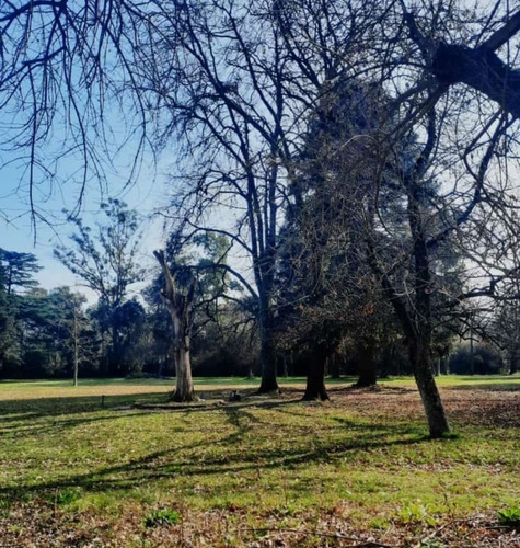 Imagen 3 de 8 de Terreno En Venta En Tortuguitas