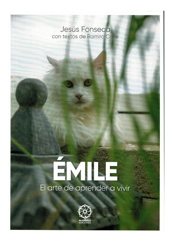Ãâmile. El Arte De Aprender A Vivir, De Calle, Ramiro. Editorial Mandala Ediciones, Tapa Blanda En Español