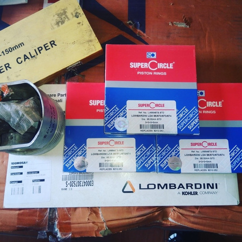 Imagen 1 de 1 de Anillos Motor Lombardini Lda 96/672/673/674 (95mm)
