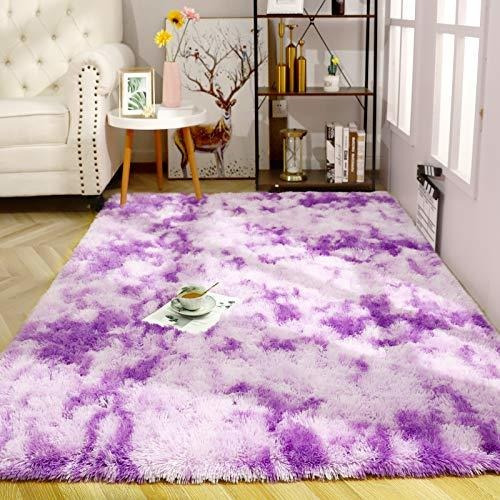 Iseau Soft Shag Area Rug Modern Indoor Fluffy Rugs, Ultra Co