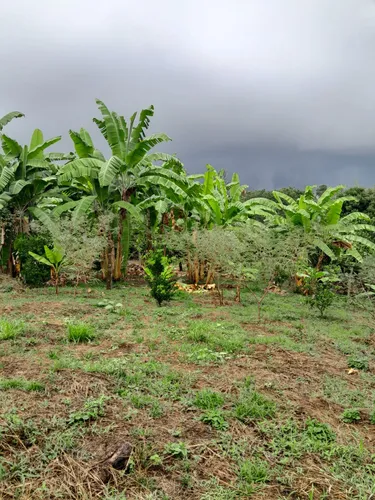 Vendo Lote En Viota Cundinamarca