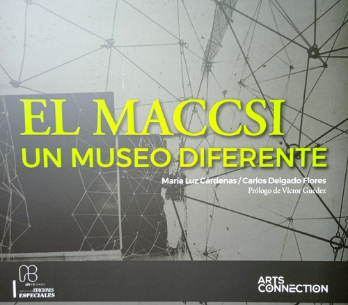 El Museo De Arte Contemporáneo De Caracas Un Museo Diferente