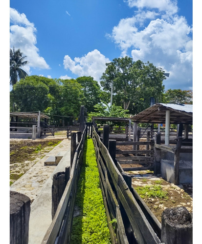 Rancho Ganadero En Venta, Propiedad Privada, 453 Has, Con Cenotes