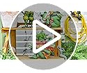 Maceta Para Suculenta Con Estatua De Rana Adorno Jardín