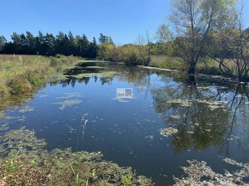 Imagen 10 de 11 de Venta De Chacra 5 Ha En Montevideo Rural