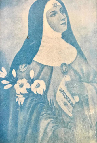 2206 Livro Afonso Santa Cruz: O Pecado De Ser Bela (excel) (Usado)