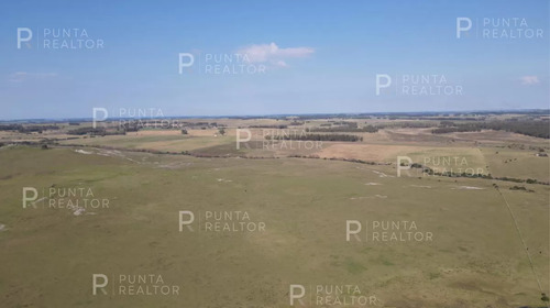 Venta De Espectacular Campo Criador O Turístico, En Ruta 9 , San Carlos, Uruguay