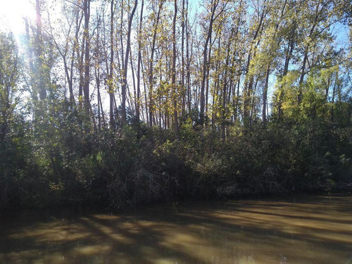 Imagen 2 de 19 de Quinta - Las Cañas