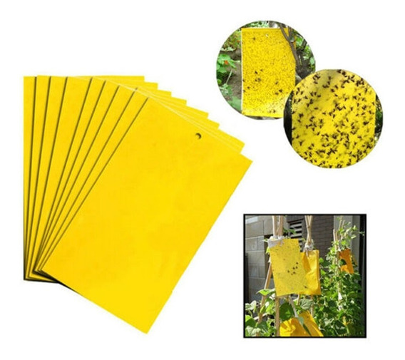 multicolor Lote de 12 trampas adhesivas amarillas para moscas para áfidos Leyeet gnatos moscas blancas herramienta de plantación de jardín 