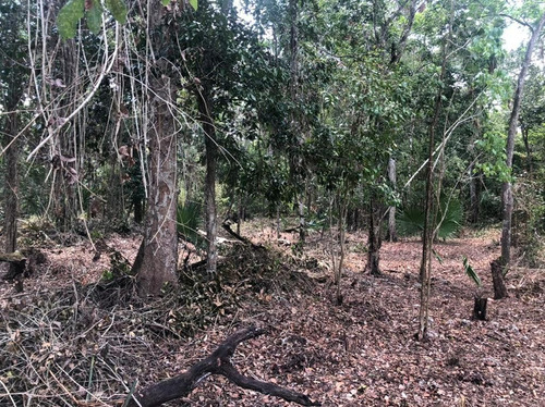 Lote En Venta En La Ruta De Los Cenotes. Qta. Roo.