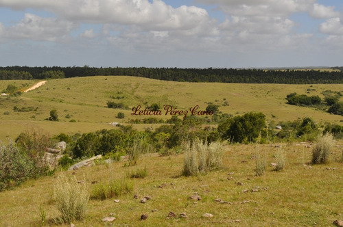 Imagen 11 de 30 de Venta Chacra 5 Has Ubicada En Jose Ignacio Proximo A Garzon