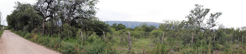 Imagen 5 de 8 de Terreno - Los Molles