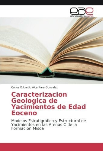 Libro Caracterizacion Geologica De Yacimientos De Edad  Lcm5