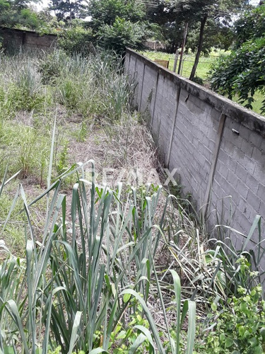 Imagen 4 de 5 de Terreno En Los Guasimito Barinas. Cod. 441116