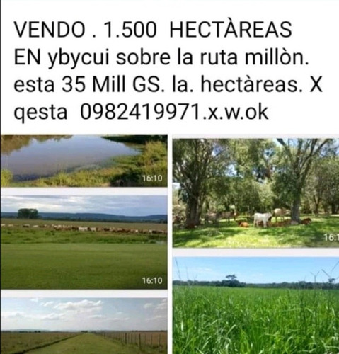 Ttulado