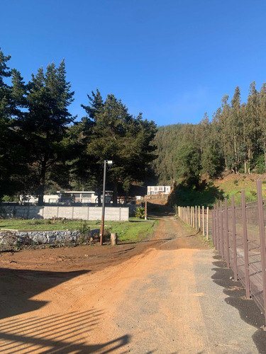 Reserva De Mitrinhue, 815 Metros Planos
