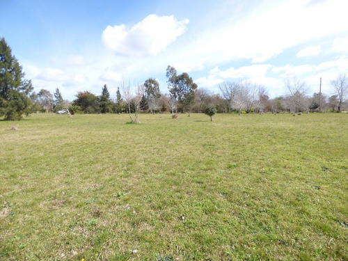Imagen 4 de 30 de Quinta En Arturo Segui Calle 403 E/ 139 Y 141 La Catalina Dacal Bienes Raices
