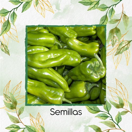 40 Semillas Orgánicas De Capsicum Annuum Variedad L.