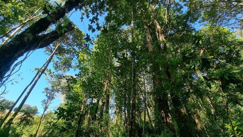 Parcela En Venta Lomas Del Mirador Puerto Varas