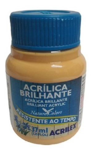 Tinta Acrílica Brilhante Amarelo Pele - 538 - Acrilex - 37ml