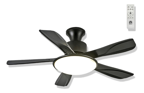 Ventilador De Techo Megaluz Fhm025 Negro Con 5 Aspas, 107 cm Diámetro 107 Cm Frecuencia 60 Hz Material De Las Aspas Plástico