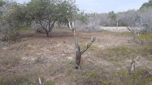 Terreno Lote En Holbox