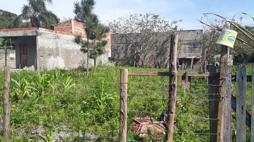 Terreno Lote Inteiro - 0009