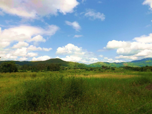 Dc224456 En Venta Hermosa Finca En Los Chaguaramos, Sabaneta Norte - Montalbán Carabobo