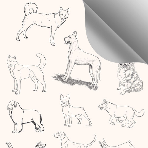 Papel De Parede Autocolante De Petshop Cães Dog Desenho 10m