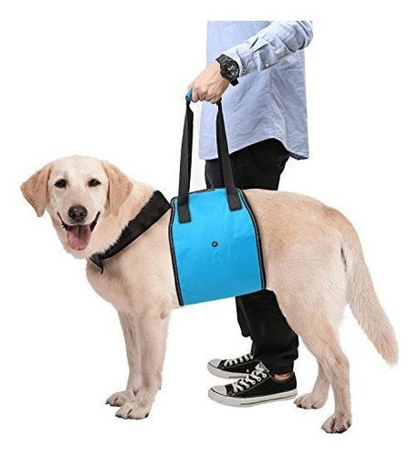 Faja Soporte Para Perro Discapacitado