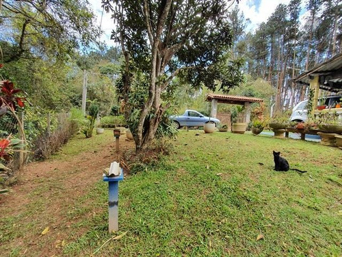 Imagem 12 de 14 de Cod 6176 - Chácara Na Cidade De São Roque - 6176