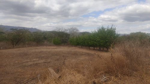 Imagen 24 de 30 de En Venta Agropecuaria, Sector El Jobal-aragua Att- Eb-ln