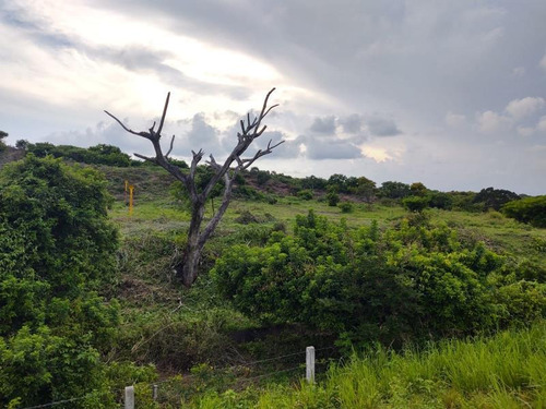 Terreno Comercial En Venta La Antigua Veracruz