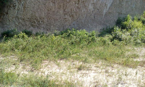 Rento Terreno De 1500 M² En Colonia Centro De Tuxpan Veracruz