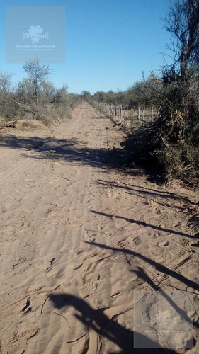 Imagen 3 de 7 de Campo - Ayacucho