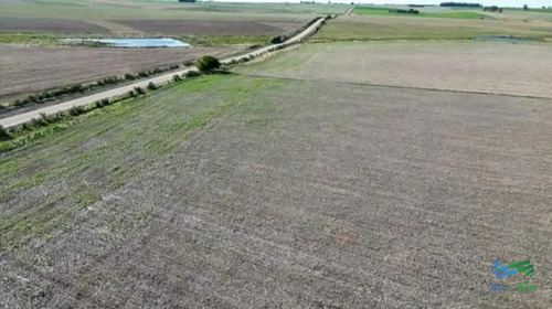 150 Has Campo Agrícola Ganadero A Tan Solo 10 Kms De Florida (bajo De Precio) !