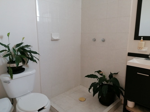 Imagen 8 de 14 de Departamento En Venta En Álamos