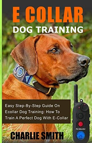 E Collar Dog Training Easy Stepbystep Guide On Ecollar Dog T